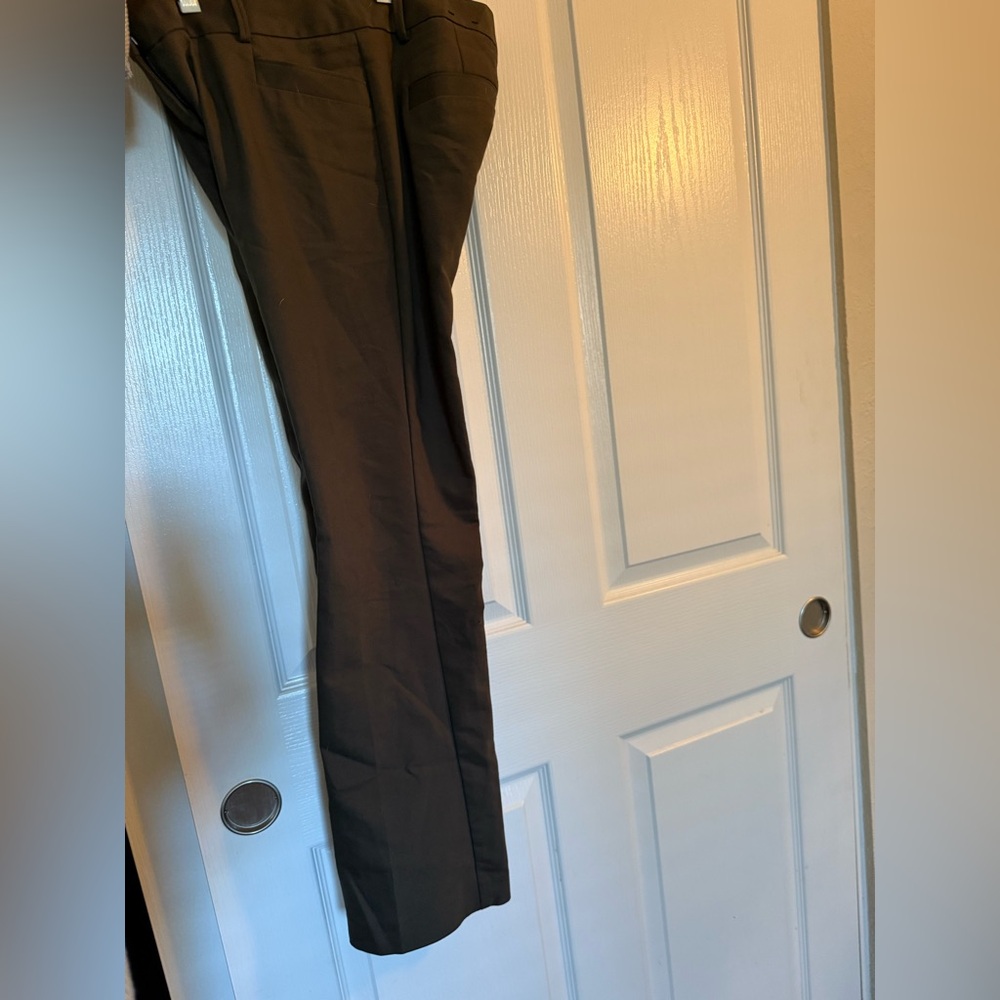 Express dress pants